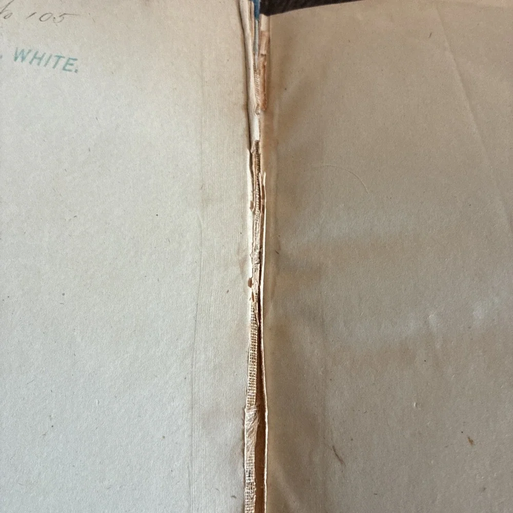 HIS SOMBRE RIVALS The Works of E P Roe. 1883 Dodd Mead and Co. 1st ED.